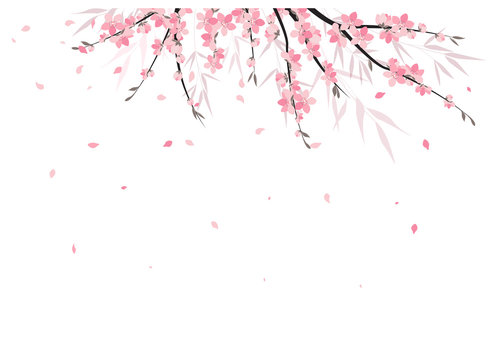 Vector illustration Sakura branch decoration. Floral background. Pink flowers