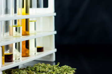 Medical Cannabis - oil test tubes with rack,  marijuana and antique apothecary brown jar on the black mirror background.