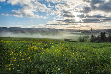 Evaporazioni mattutine