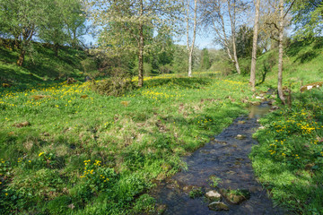 Fototapeta na wymiar Creek in a meadow at suumer