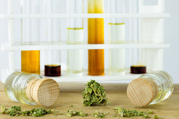 Medical Oil of Cannabis - oil test tubes with rack and small glasses jars with marijuana on the white oak natural wood background.