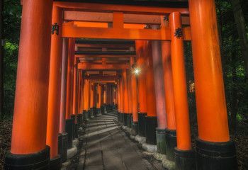 京都 - 伏見稲荷