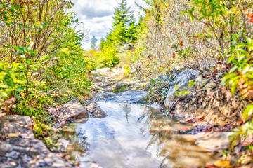Large puddle on boggy bog area hiking trail in Dolly Sods, West Virginia between bushes and calm reflection closeup with rocks or stones landscape