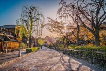 京都 - 祇園白川