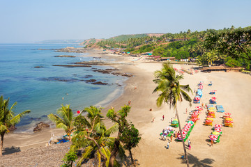 Beach in Goa, India - obrazy, fototapety, plakaty
