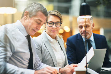 Mature businesspeople discussing paperwork together in a meeting