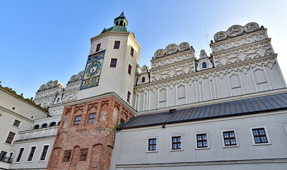 Detail des Schlosses Szczecin - obrazy, fototapety, plakaty
