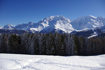 Fototapeta na wymiar Les Alpes en hiver
