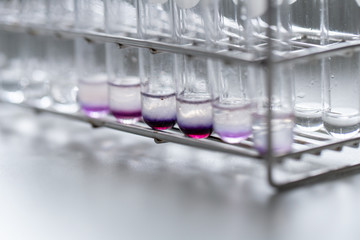 Analysis starch for study Chemical composition in laboratory.