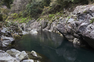Fiume dall'acqua limpida nella prefettura di Tokyo nella città di Okutama d'estate.