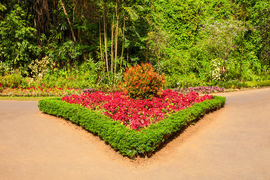 Peradeniya Royal Botanic Gardens