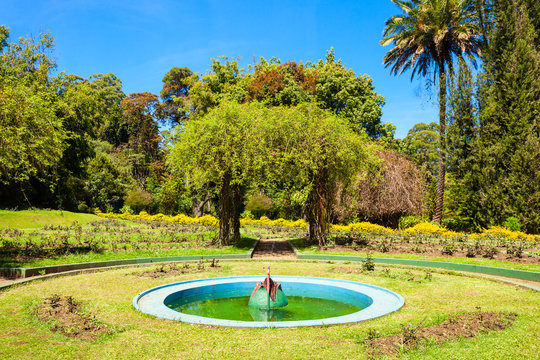 Victoria Park, Nuwara Eliya