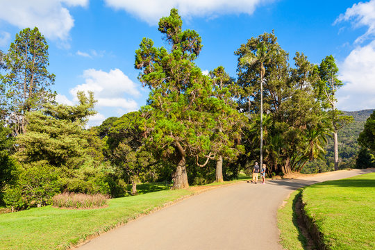 Hakgala Botanical Garden, Nuwara Eliya
