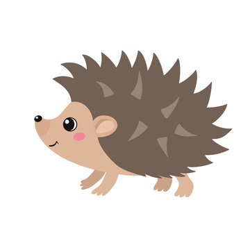 Vector flat illustration of cute hedgehog isolated on white background