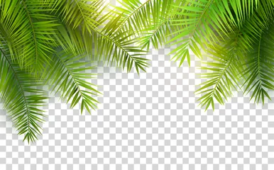 Poster Summer palm leaves © kaktus2536