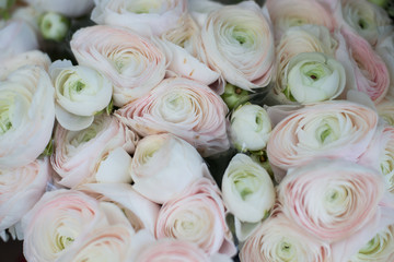 bouquets de roses blanches