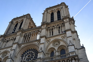 Naklejka premium Notre Dame, Paris