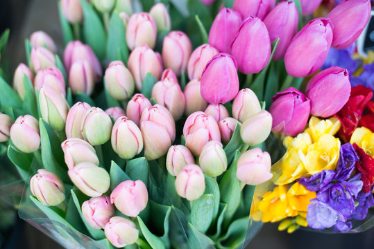 bouquets de tulipes