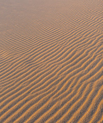 Golden wavy sand texture pattern structure, lit by morning sun