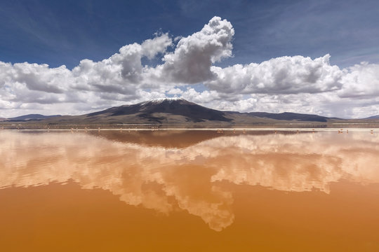 Colorado lagoon, Altiplano, Bolivia