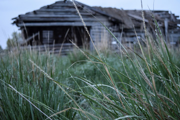 Old cabin, Idaho landscape, nature, outdoors