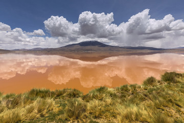 Colorado lagoon, Altiplano, Bolivia