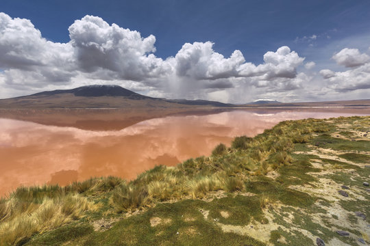 Colorado lagoon, Altiplano, Bolivia