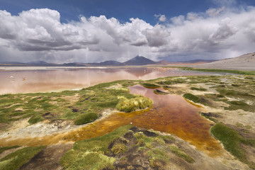 Colorado lagoon, Altiplano, Bolivia