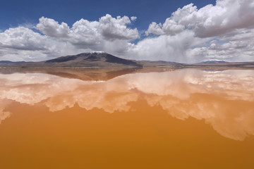 Colorado lagoon, Altiplano, Bolivia