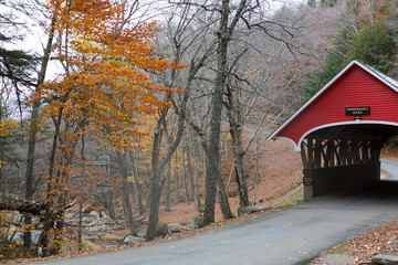 Road in a park autumn