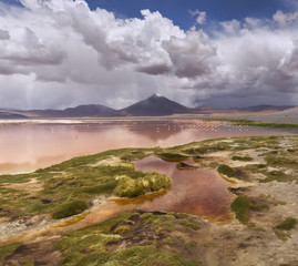 Colorada lagoon, Altiplano, Bolivia