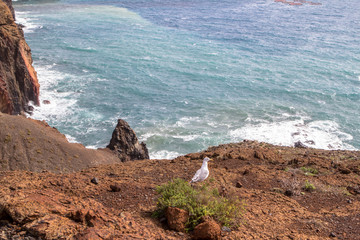 Madeira coast, Portugal