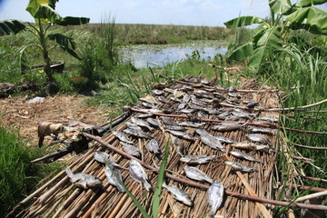 Floating Fishing Village - Uganda, Africa © Sam D'Cruz