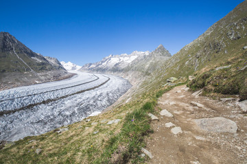 Aletsch glacier in Switzerland