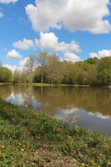 Rivière trouble avec eau boueuse temps ensoleillé avec reflet prise de vue portrait