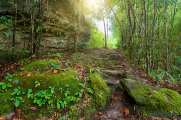 Beautiful landscape of walkway to hiking.