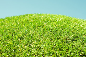 Green lawn and blue sky