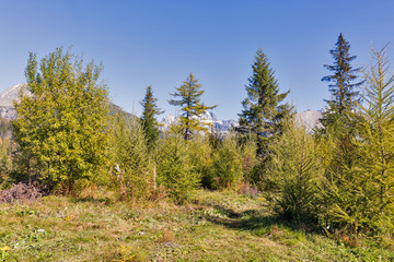 Fototapeta na wymiar Mountains landscape close to Strbske Lake in Slovakia.