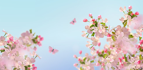 Obraz na płótnie Canvas Spring Cherry Blossom