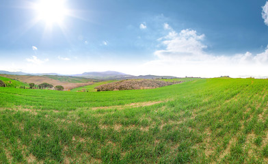 Fototapeta premium Spring phooto of tuscany landscape. 