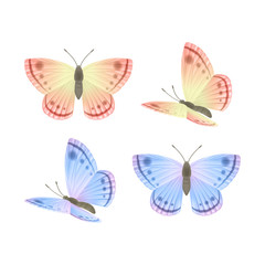 Fototapeta na wymiar Vector Butterflies Set