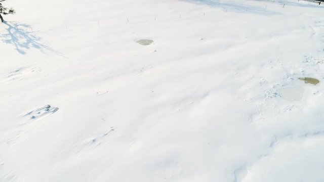 aerial video, snowy landscape with tree