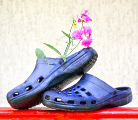 Nach dem Frühjahrsputz auf zur Gartenarbeit mit
frischgeputzten Schuhen
