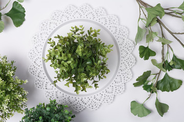 Small Plant on Tray with Foliage Flat Lay Top View