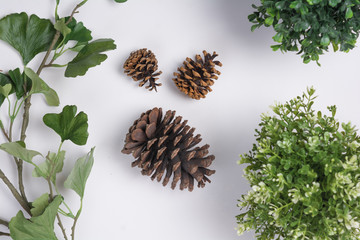 Large Pine Cones with Foliage Flat Lay Top View