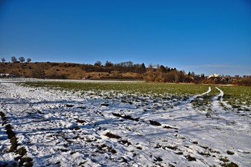 Winterlandschaft, Schnee, wiese, grün, weiß, Berg, Heide, Wacholderheide, Schwäbische Alb, Deutschland, Europa, Winter, Frost, Wald