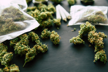 Macro of marijuana with trichomes and crushed weed in a grinder for chopping a canapis on a black...