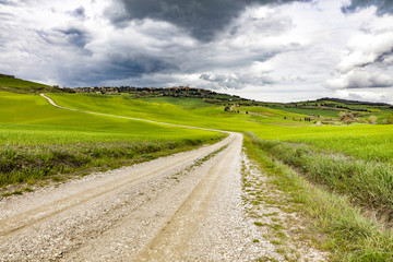 Fototapeta na wymiar Spring tuscany landscape 
