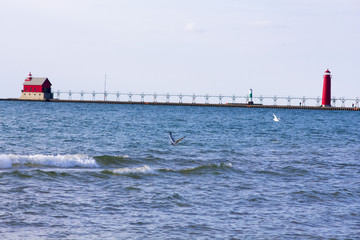 Seagull Flying, Lighthouse