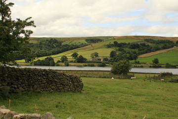 Gouthwaite Reservoir, Nidderdale, Yorkshire, England